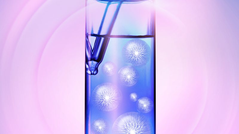 重组抗体表达大规模生产的奥秘解析**