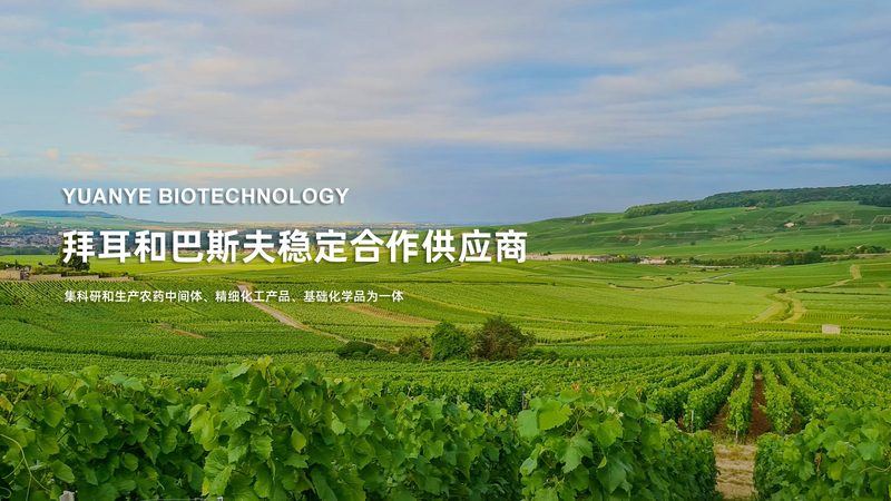 定制试剂，精准科研——广州分子生物学试剂定制报价解析**