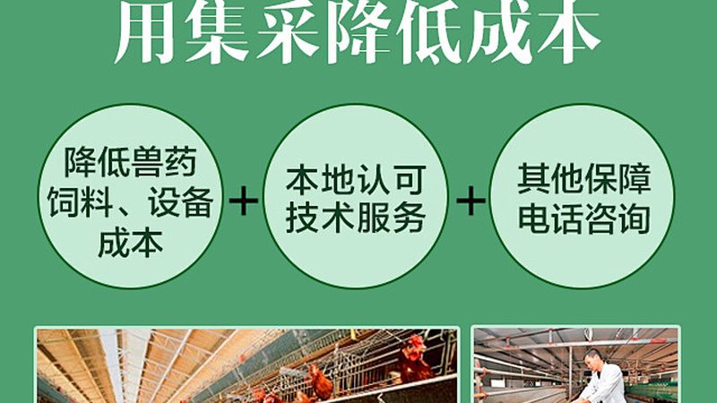 CDMO项目报价背后的隐藏成本揭秘