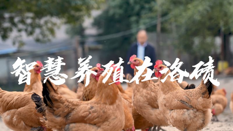 CDMO行业崛起：揭秘国内CDMO品牌排名背后的考量