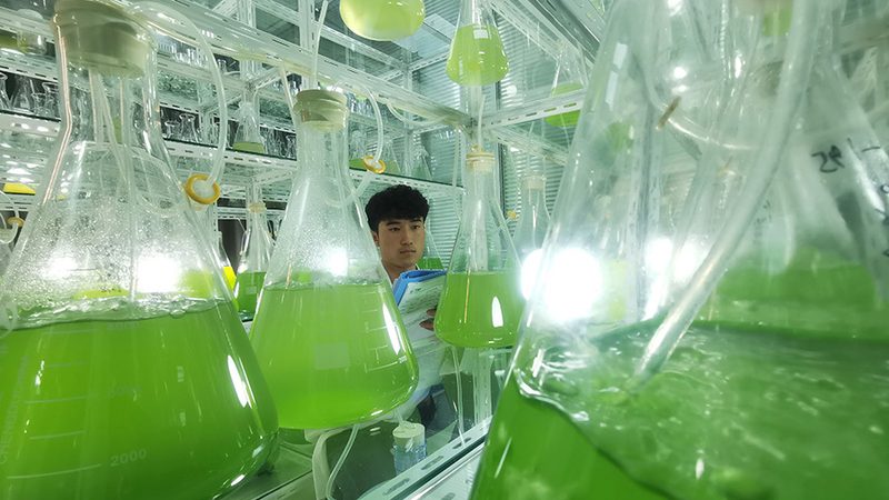 实验室耗材报价清单生成软件：提升实验室管理效率的关键工具